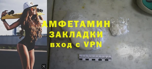 хмурый Алексин