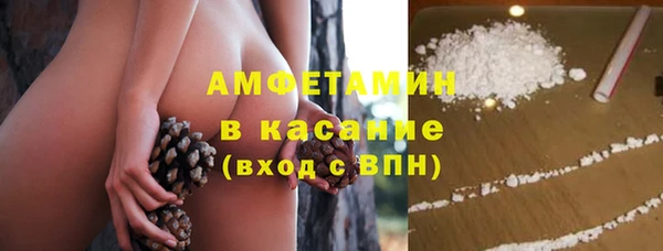 твердый Алексеевка