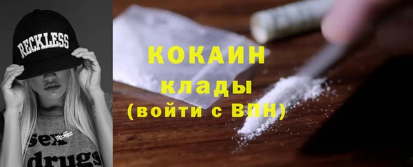 хмурый Алексин