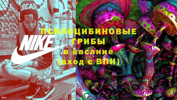 твердый Алексеевка