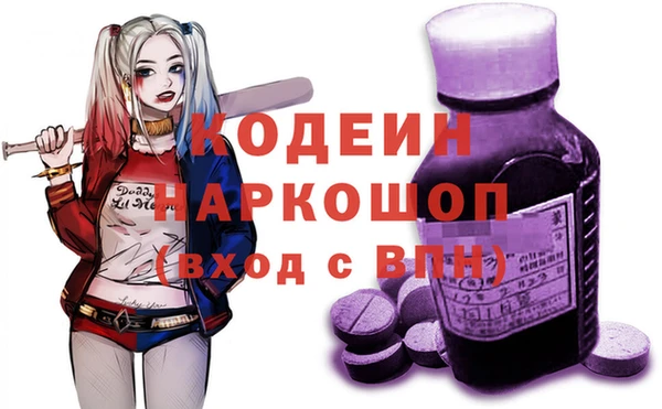 хмурый Алексин