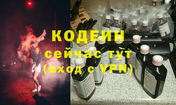 хмурый Алексин