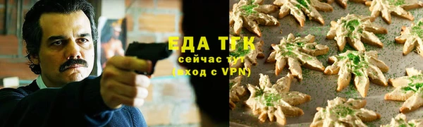 хмурый Алексин