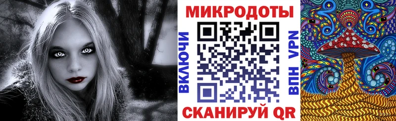 Галлюциногенные грибы GOLDEN TEACHER  купить наркотики сайты  Пыталово 